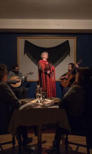 Porto : Visite guidée de nuit avec spectacle de fado, dîner et transport