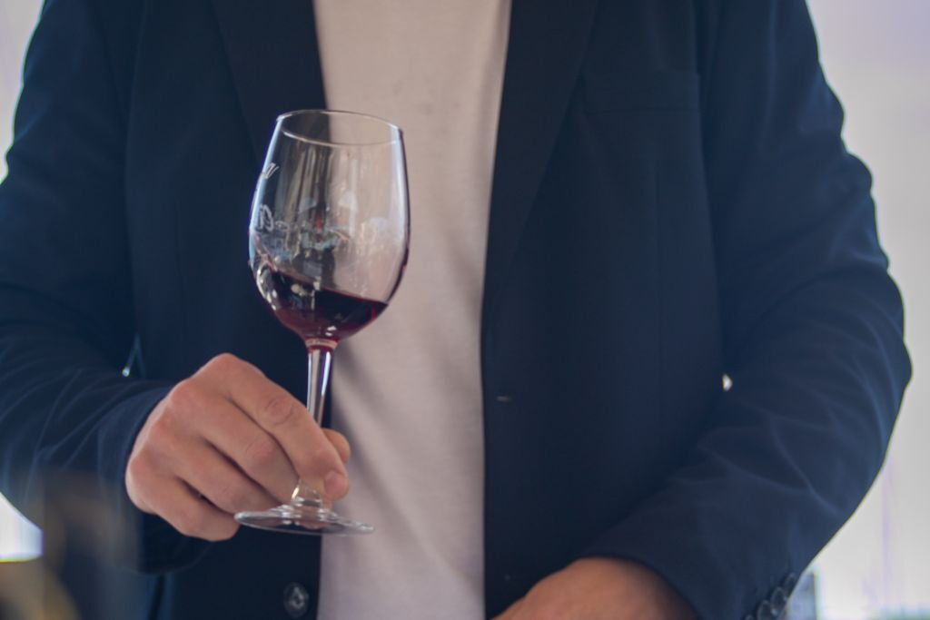 Excursion à la voile et dégustation de vins sous-marins à bord