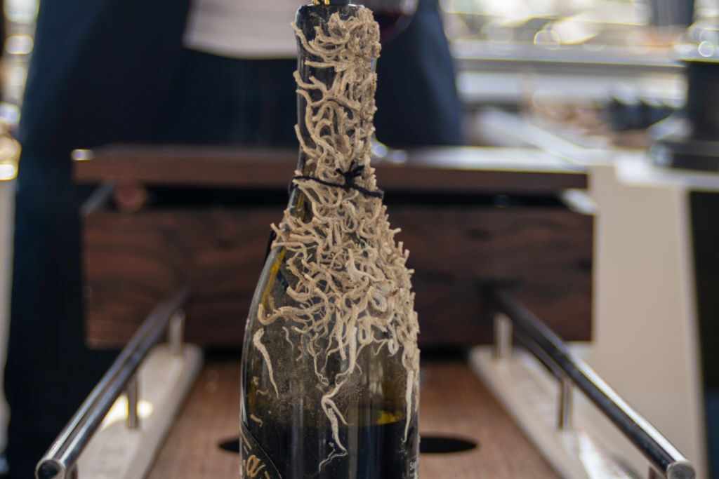 Sailing Tour and Tasting of Submarine Wines on Board