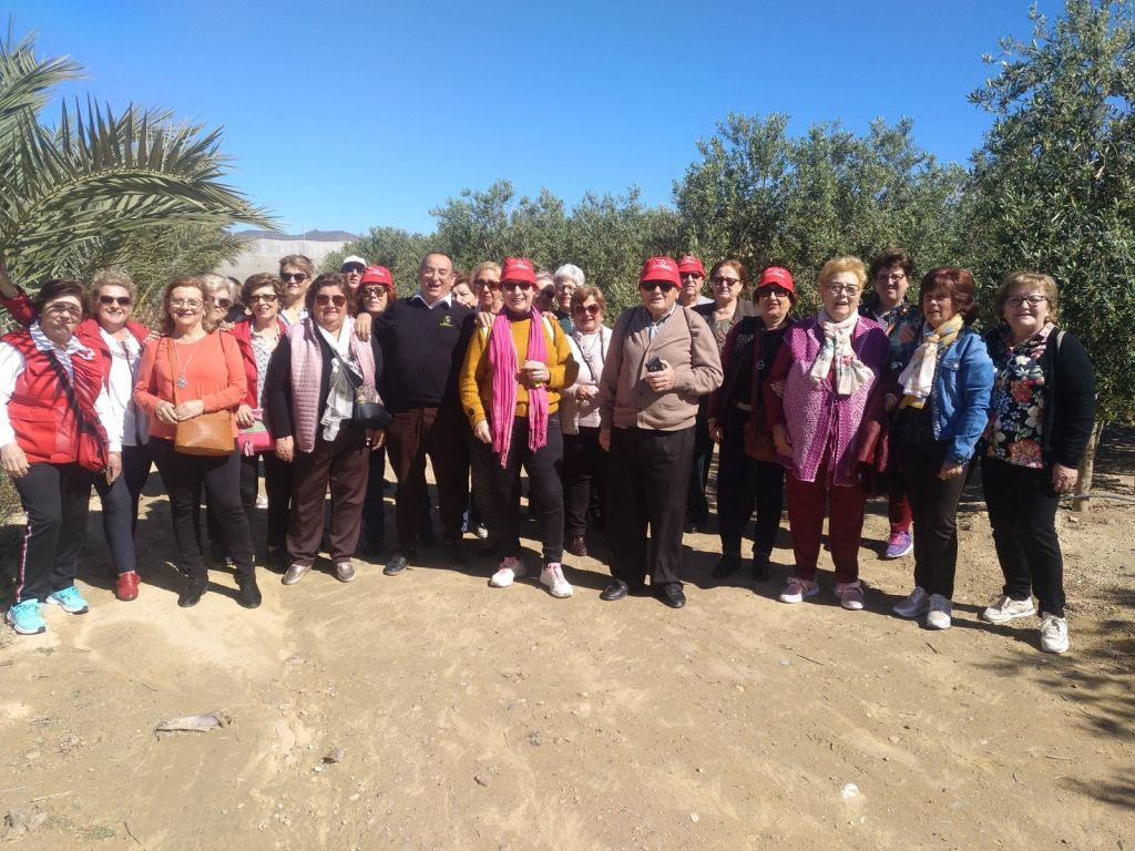Visita Guiada Oleo Almanzora