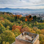 Alhambra & Nasrid Palaces: Guided Tour + Local Food Experience