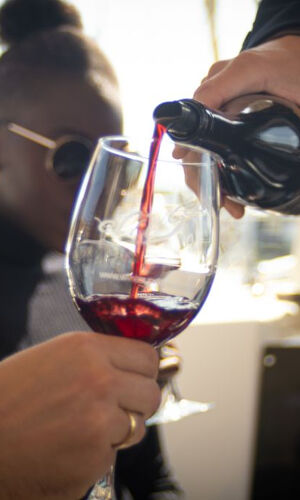 Wine Tasting and Sailing Adventure