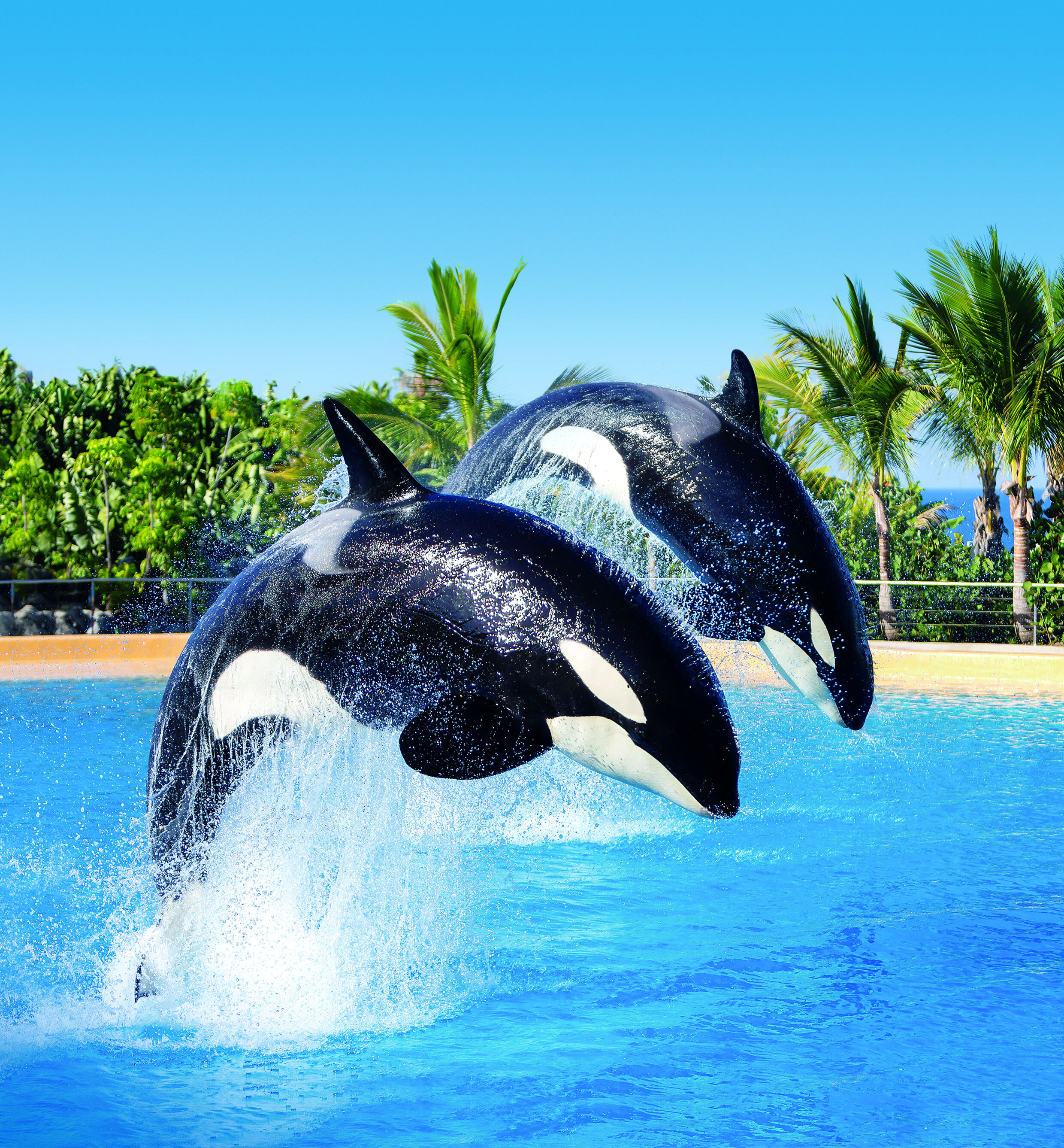 Loro Parque