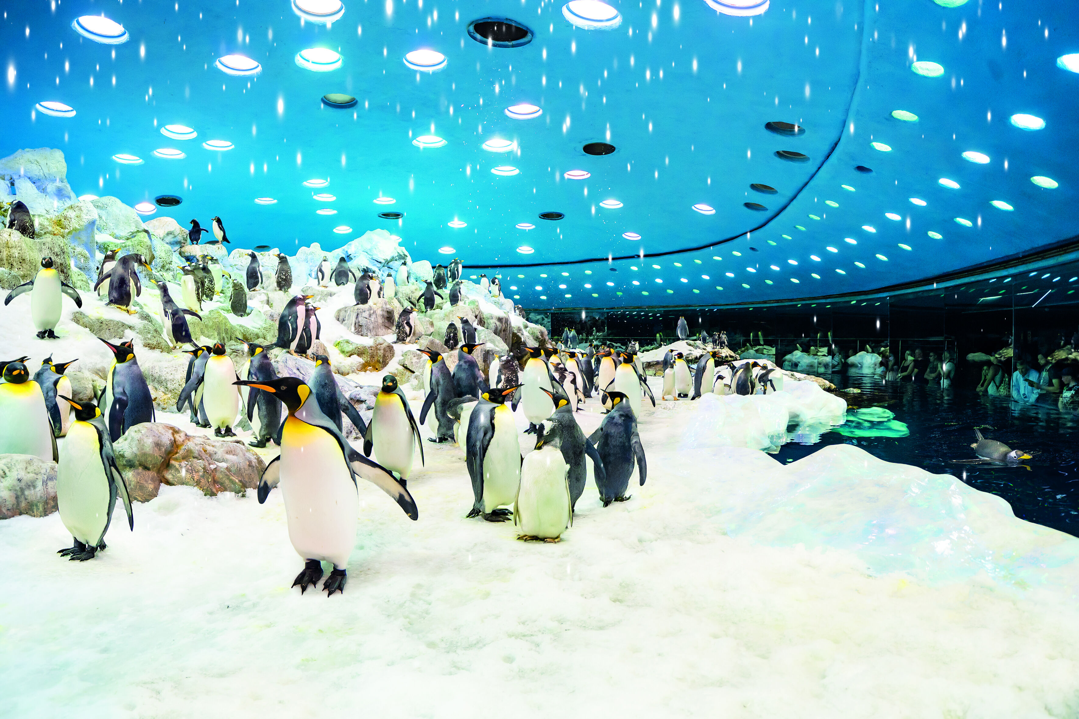 Loro Parque