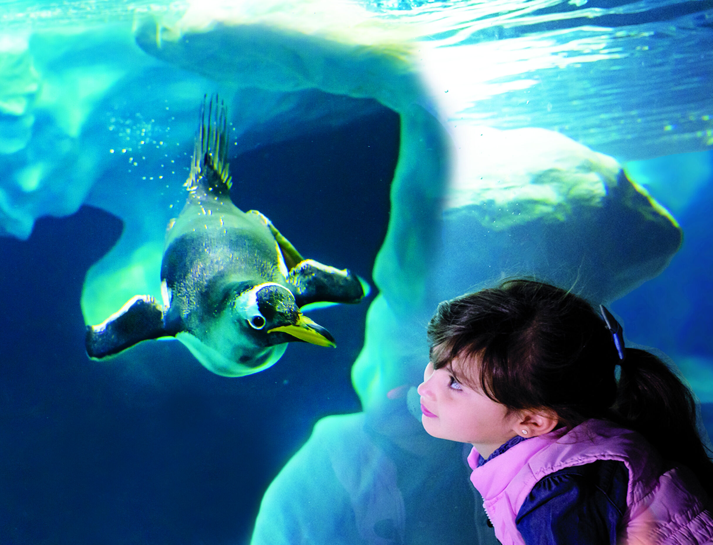 Loro Parque