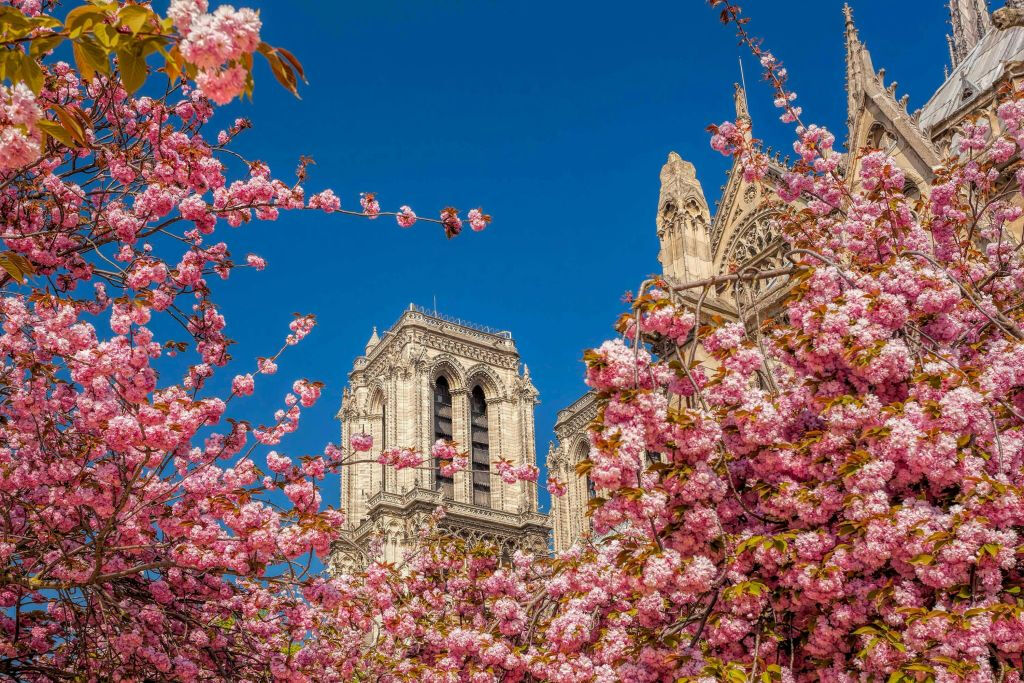 Parigi: Tour turistico con audioguida
