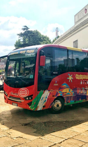 Sólo transporte: Viaje de ida y vuelta en autobús de enlace de Nápoles a Pompeya