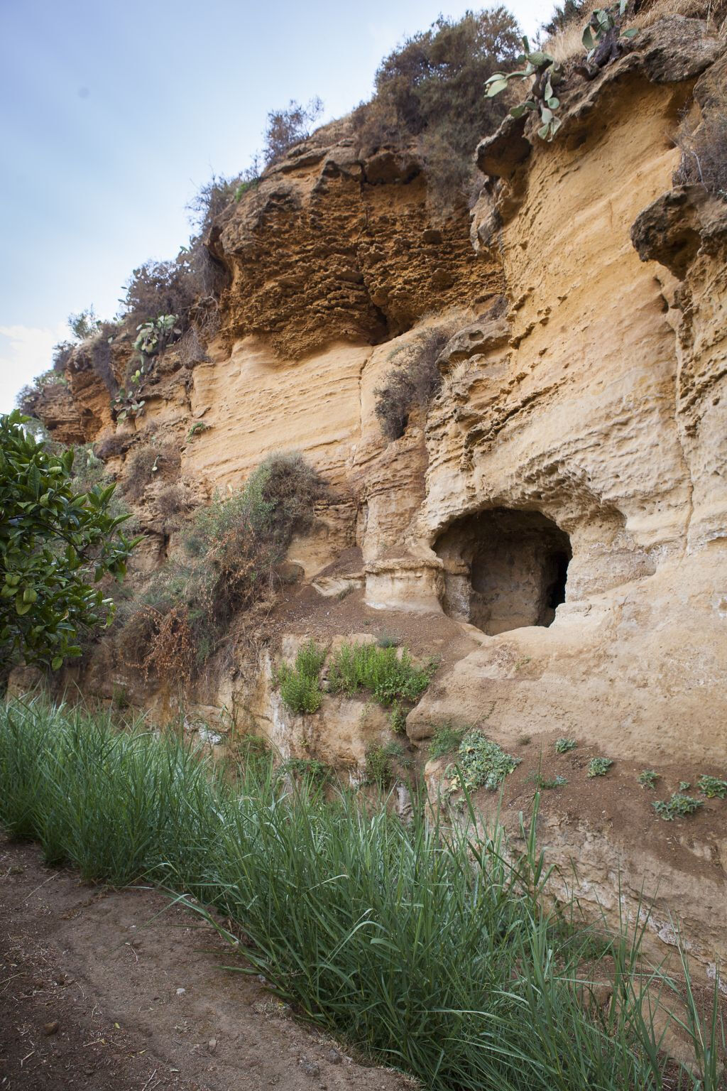 Giardino della Kolymbethra e Ipogeo: Tour Guidato