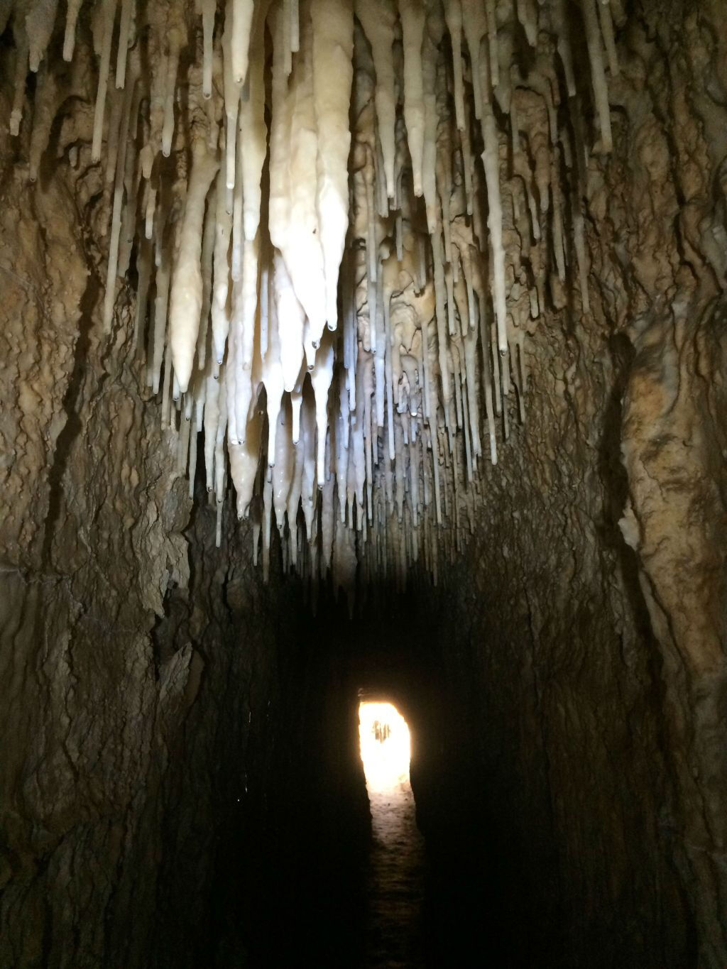Giardino della Kolymbethra e Ipogeo: Tour Guidato