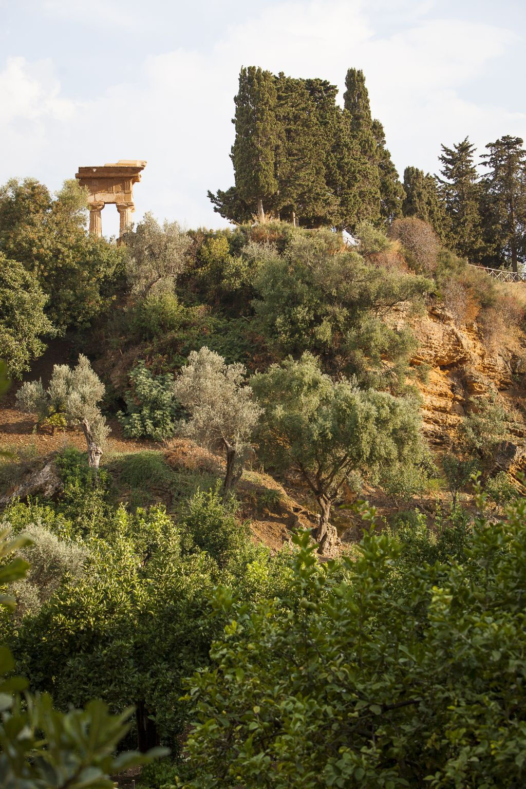 Giardino della Kolymbethra e Ipogeo: Tour Guidato