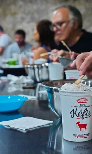 Experiencia Queso Lovers & Wine en Requena