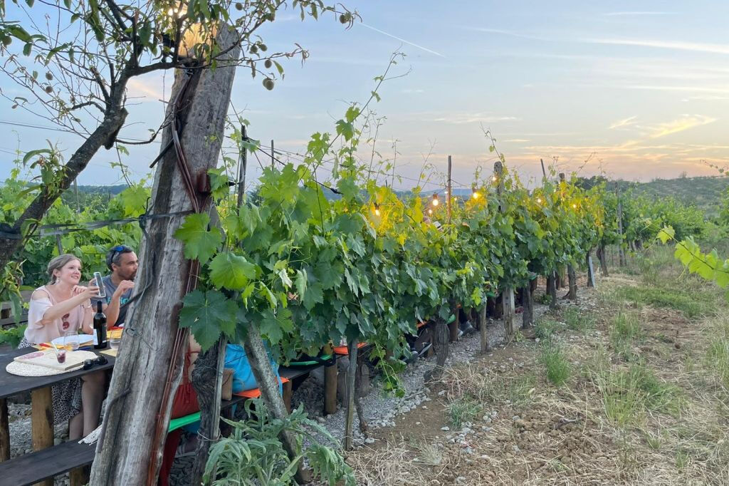 Región de Chianti: Excursión de un día desde Florencia + Cena en un viñedo