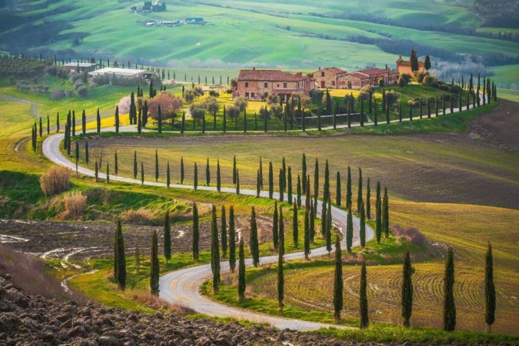 Montalcino: Excursión con cata de vinos desde San Gimignano