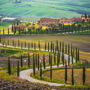 Montalcino: Tour di degustazione di vini da San Gimignano