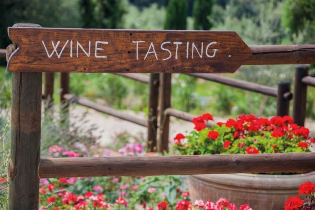 Montalcino: Tour de degustação de vinhos saindo de San Gimignano