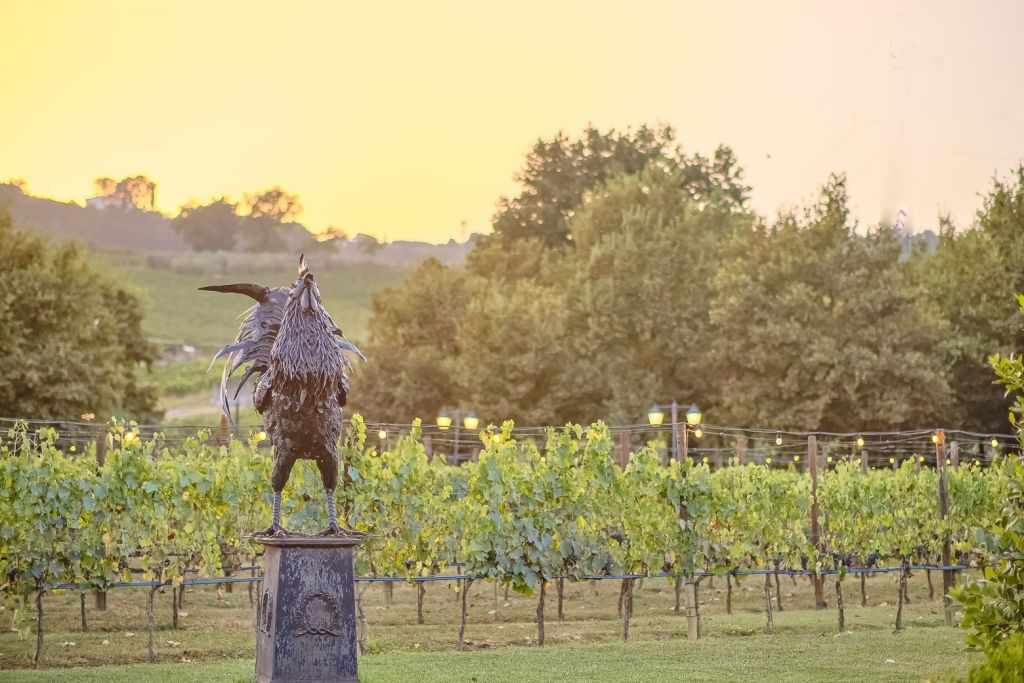 Siena: Jantar em Chianti com degustação de vinhos