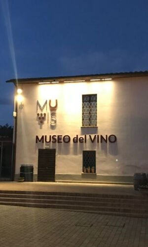 MUVIS Museo del Vino