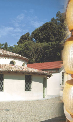 Musei del Cibo: Museo del Parmigiano Reggiano