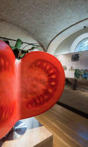 Musei del Cibo: Museo del Pomodoro