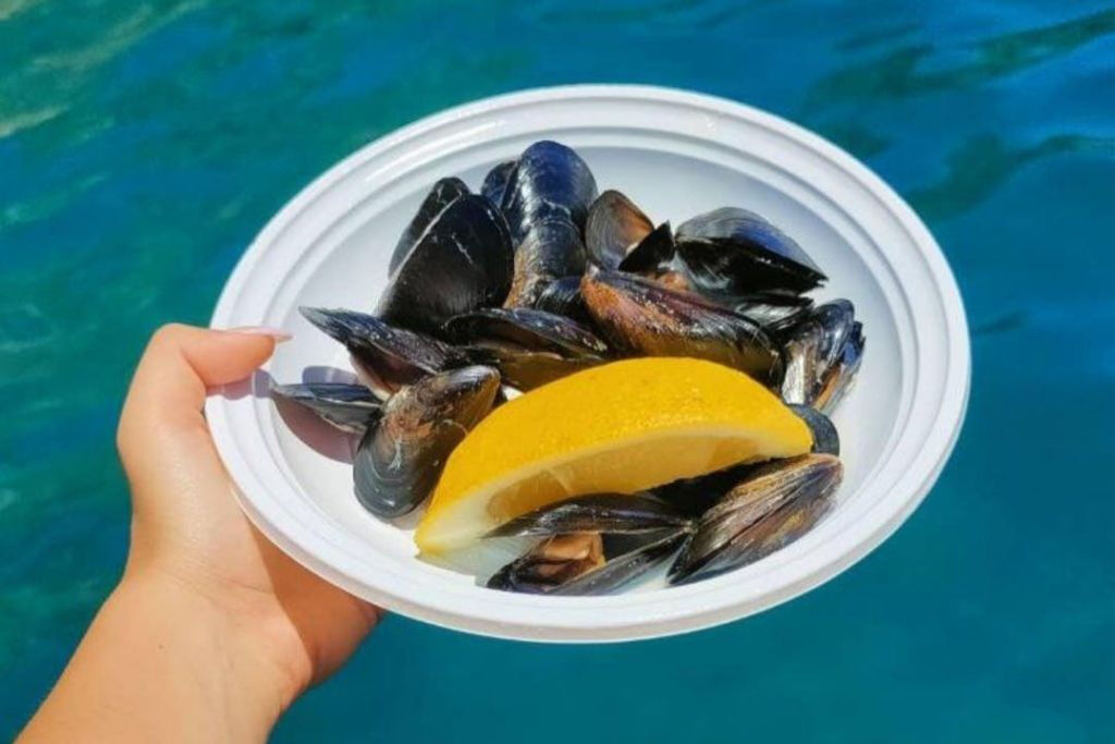 Cruzeiro de um dia para descobrir Ischia com almoço