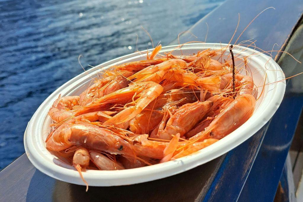 Cruzeiro de um dia para descobrir Ischia com almoço