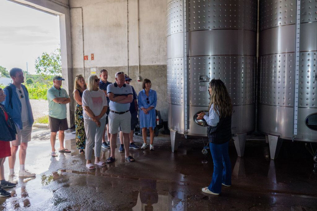 Small-Group Wine Tour and Silves Exploration from Albufeira