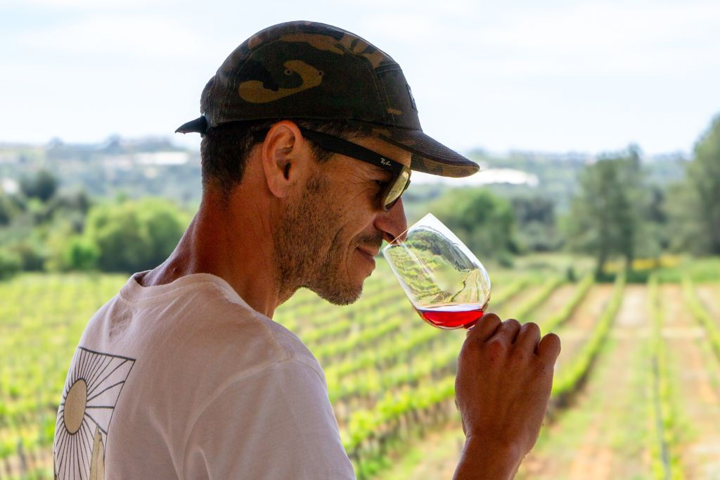 Small-Group Wine Tour and Silves Exploration from Albufeira