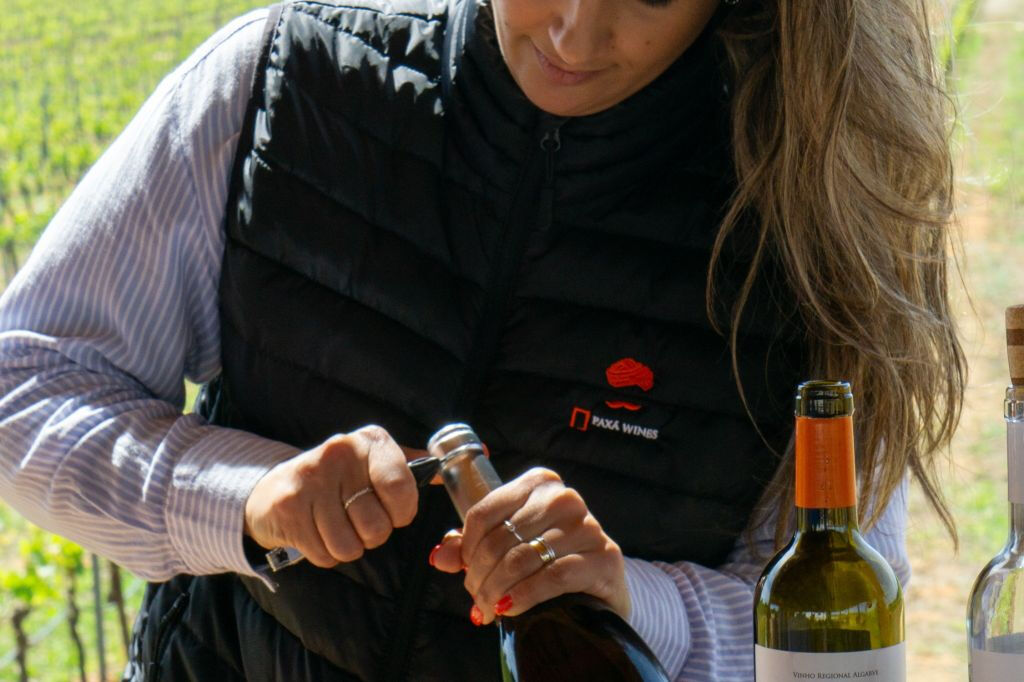Small-Group Wine Tour and Silves Exploration from Albufeira