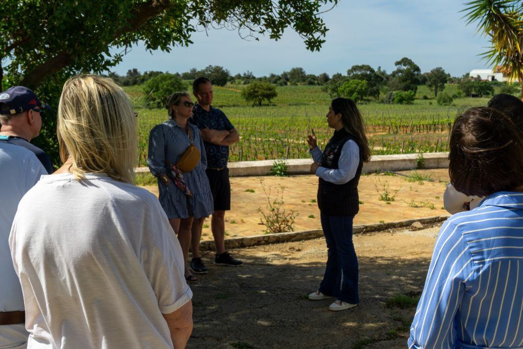 Tour del vino per piccoli gruppi ed esplorazione di Silves da Albufeira