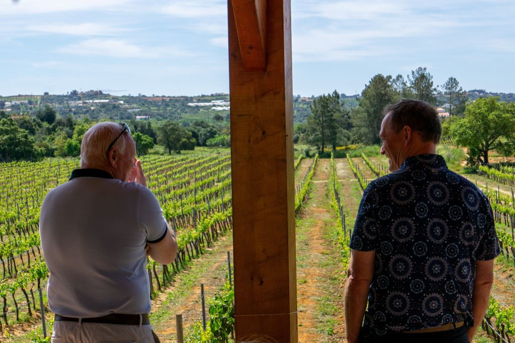 Small-Group Wine Tour and Silves Exploration from Albufeira