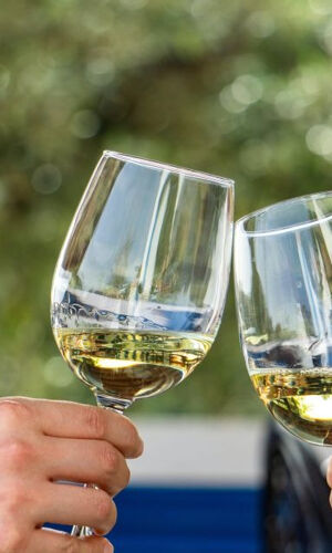 Tour de vinhos em pequenos grupos e exploração de Silves a partir de Albufeira
