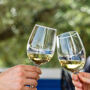 Algarve: Small-Group Guided Wine Tour + Silves Exploration