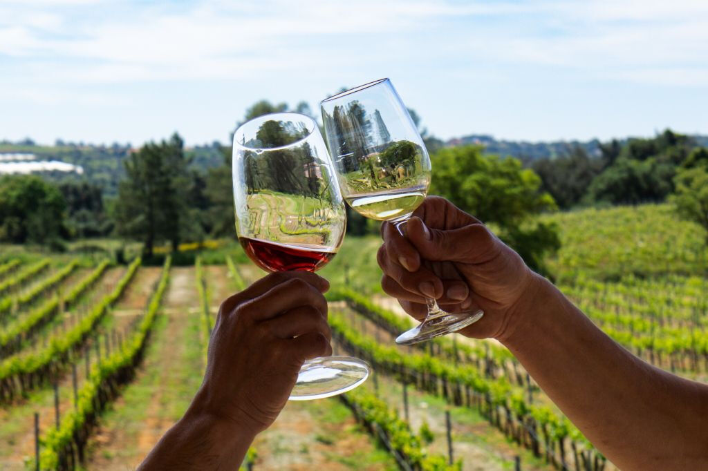 Tour de vinhos em pequenos grupos e exploração de Silves a partir de Albufeira