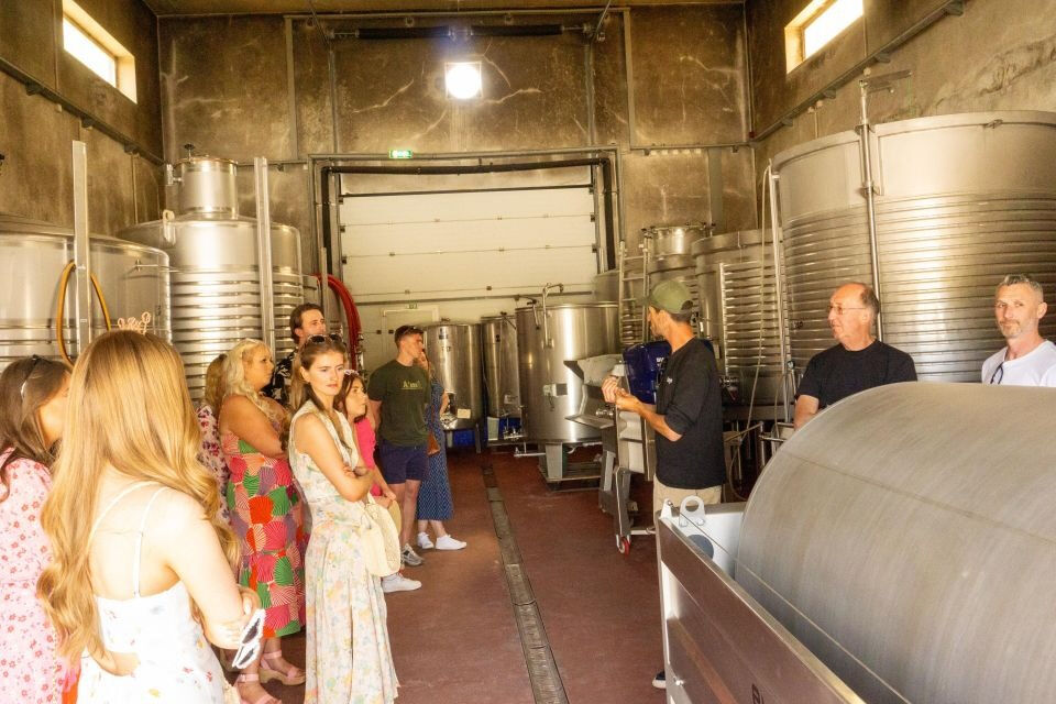 Small-Group Wine Tour and Silves Exploration from Albufeira