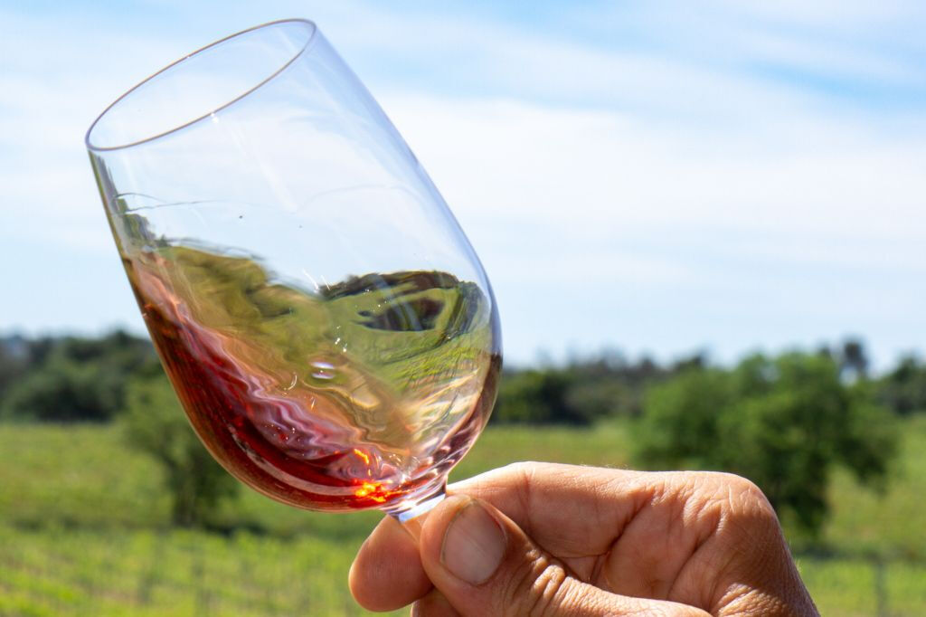 Small-Group Wine Tour and Silves Exploration from Albufeira