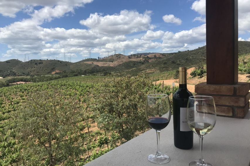 Small-Group Wine Tour and Silves Exploration from Albufeira