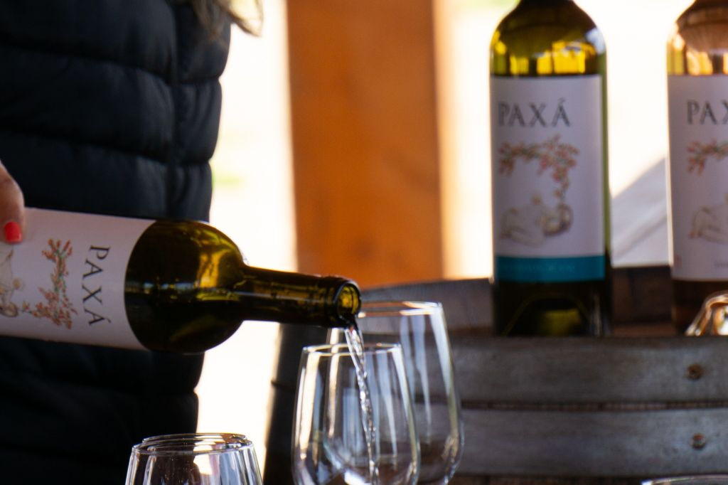 Small-Group Wine Tour and Silves Exploration from Albufeira
