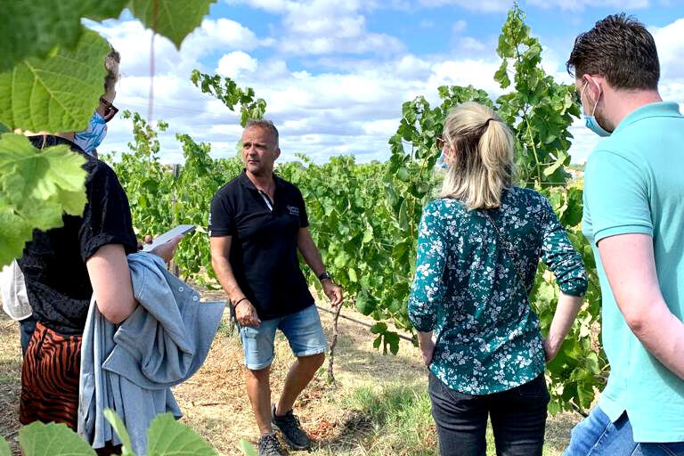 Safari 4x4 hors route et dégustation de vin dans un vignoble