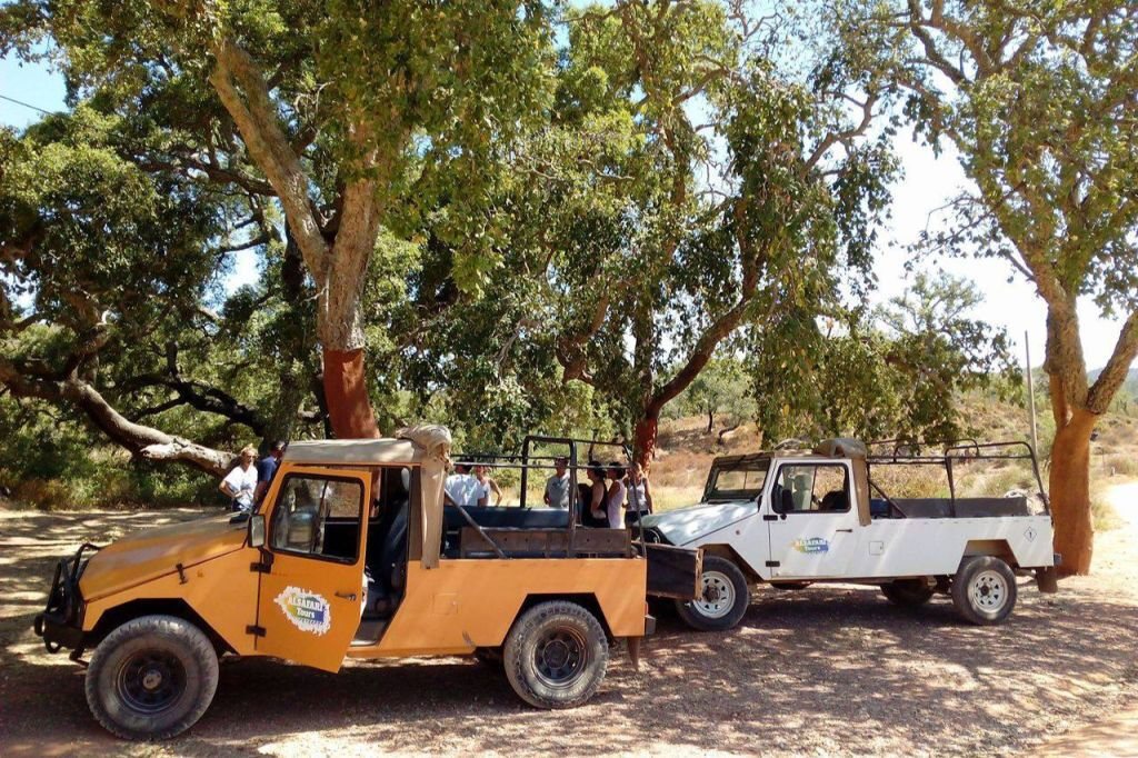 Demi-journée de safari en jeep en Algarve