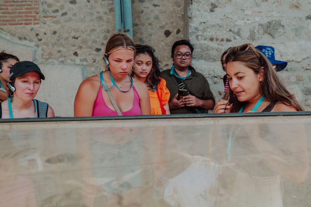 Pompéia e Herculano: Viagem guiada de um dia saindo de Roma