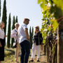 Azienda vinicola Corte Pavone: Visita guidata alla cantina con degustazione di vini di Montalcino