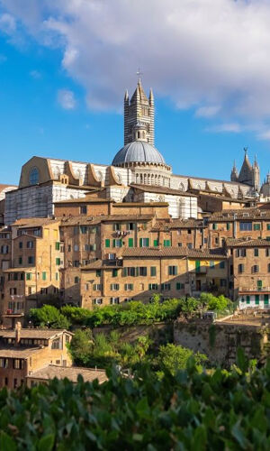 Siena e San Gimignano: gita di un giorno da Firenze + pranzo nel Chianti