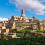 Siena e San Gimignano: gita di un giorno da Firenze + pranzo nel Chianti