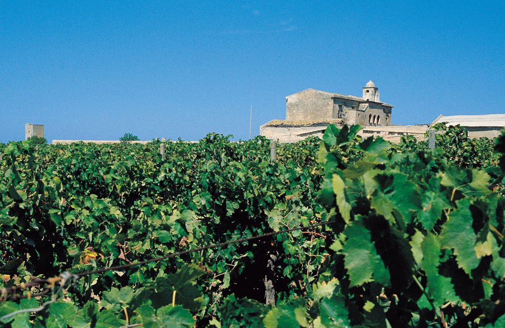 Dégustation de vins dans la cave historique d'Alagna à Marsala