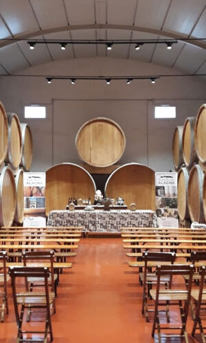 Degustazione di vini nella storica Cantina Alagna a Marsala