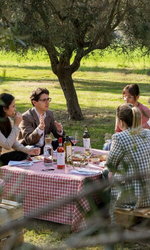 Cantina Mazzarosa: Picnic di campagna nell'uliveto