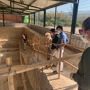 Excursion à la Villa Romana del Salar et au centre d'interprétation depuis Grenade