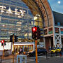 Green Line Tours Roma: Bus Hop On Hop Off di notte + Fermata di degustazione