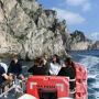Capri: tour in barca dell'isola + andata e ritorno da Sorrento