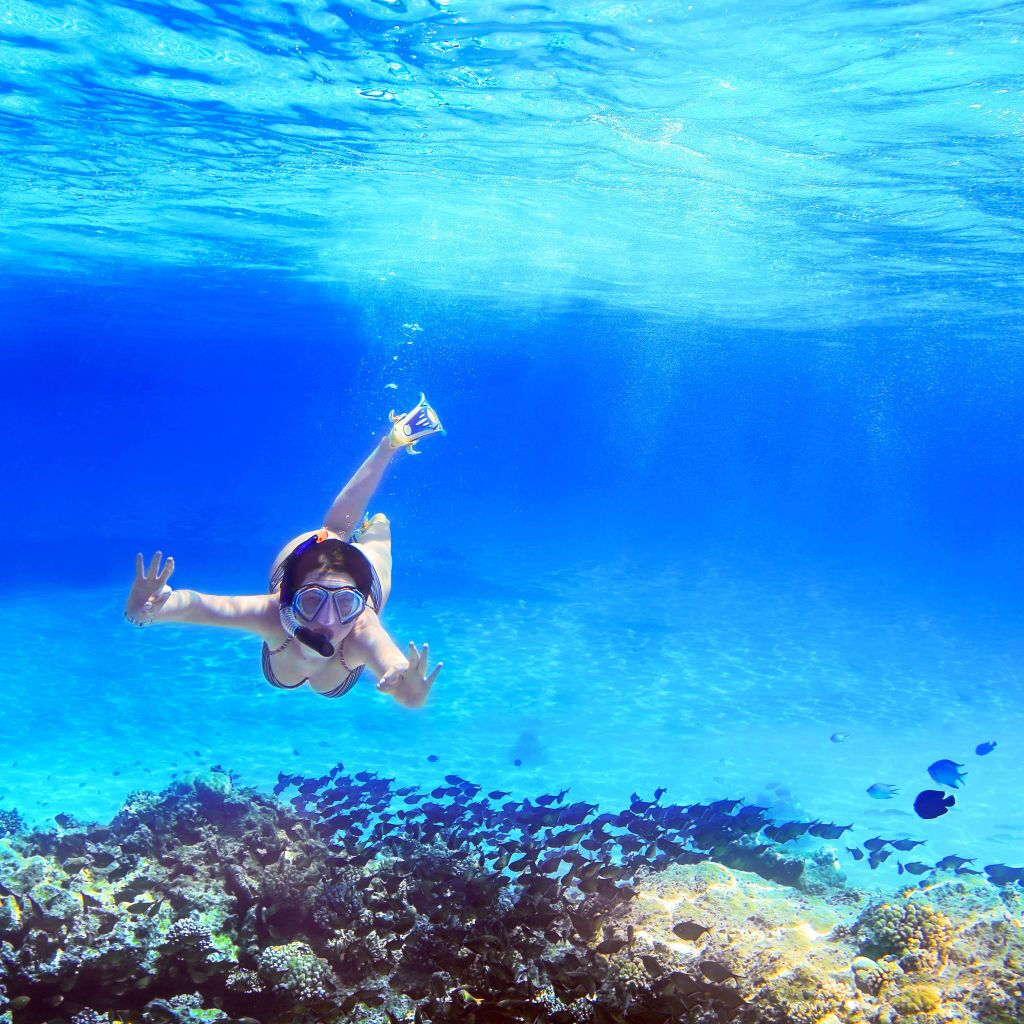 Demi-journée croisière et snorkeling d'Amalfi à Positano